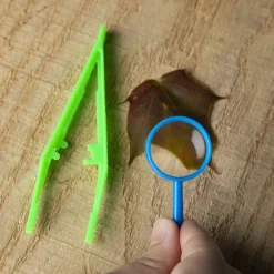 ann-williams Craft-Tastic Nature Scavenger Hunt Potions< Crafts And Activities